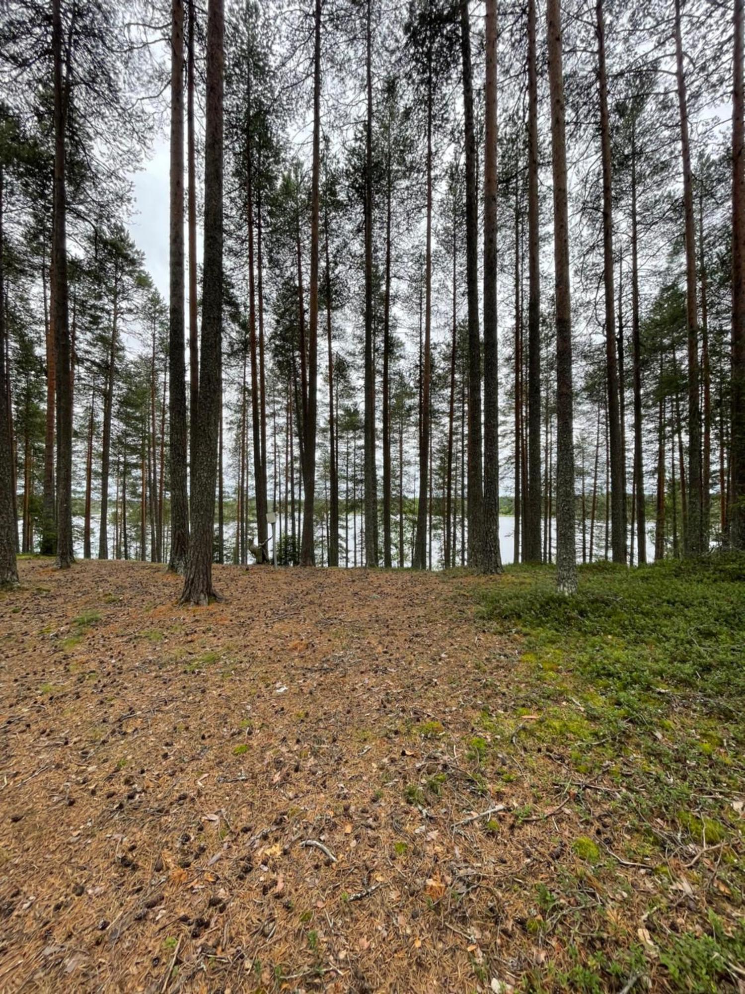 Laahtanen Camping Ristijarvi Luaran gambar