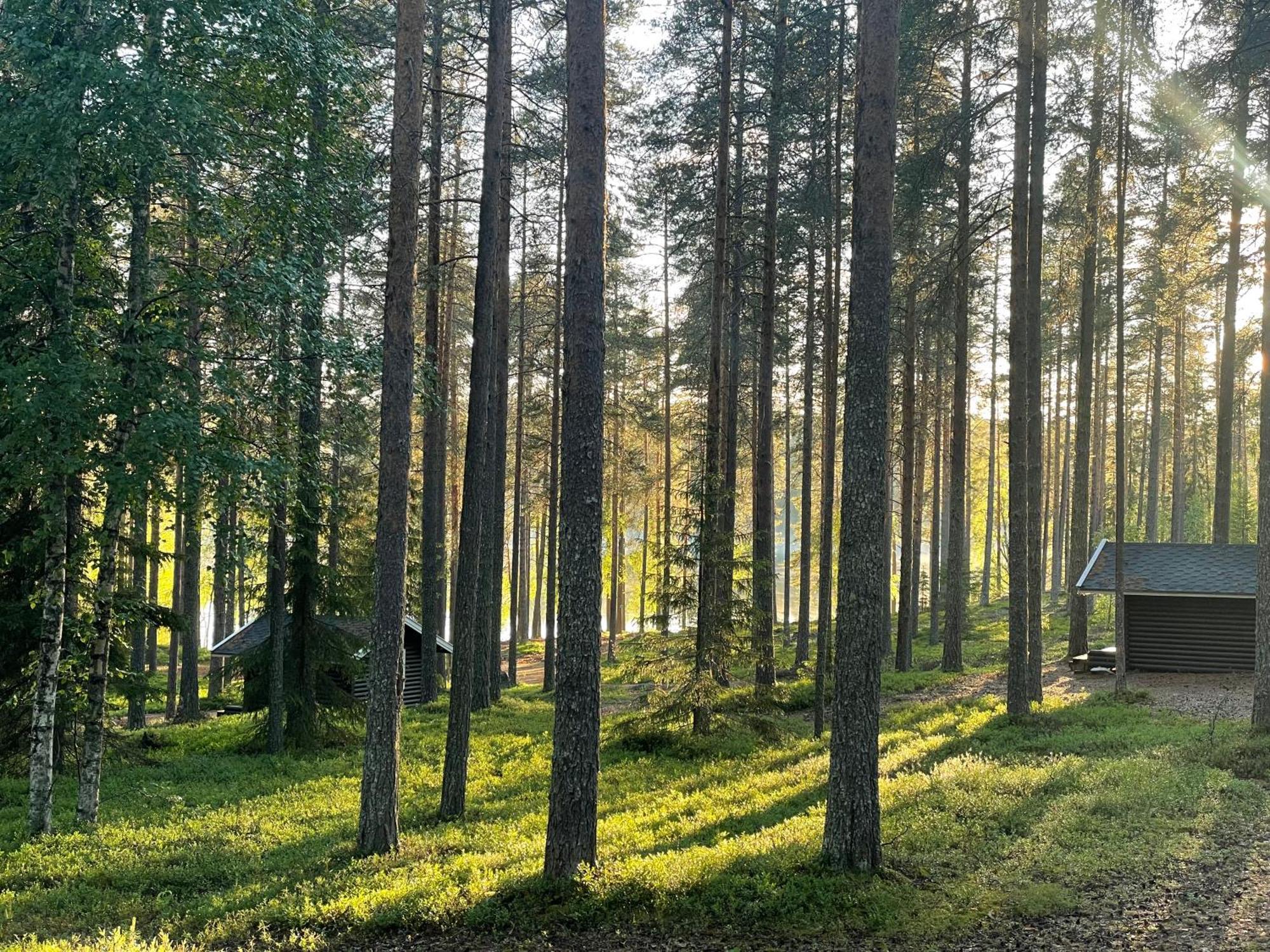 Laahtanen Camping Ristijarvi Luaran gambar